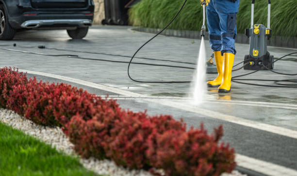 Animal Enclosure Cleaning in Gibbon, NE